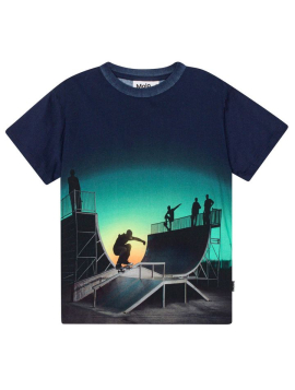 CAMISETA RAME HALFPIPE UNIVERSE MOLO 