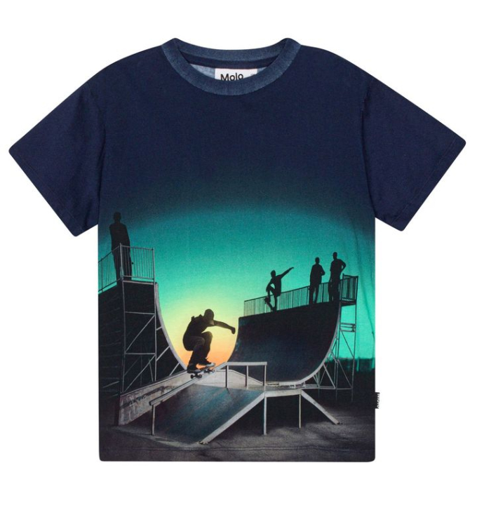 CAMISETA RAME HALFPIPE UNIVERSE MOLO 