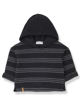 SUDADERA LEANDRE ANTHRACITE 1+ IN THE FAMILY 