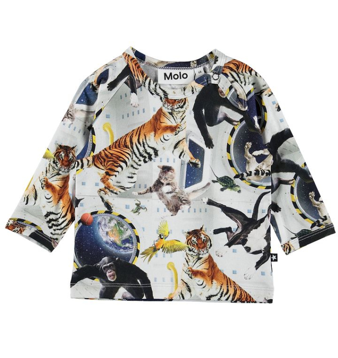 CAMISETA EWALD NO GRAVITY MOLO